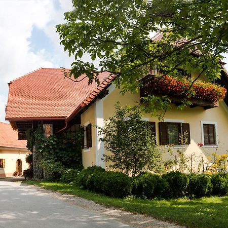 Farm Sorzev Mlin Nova Cerkev Exterior foto